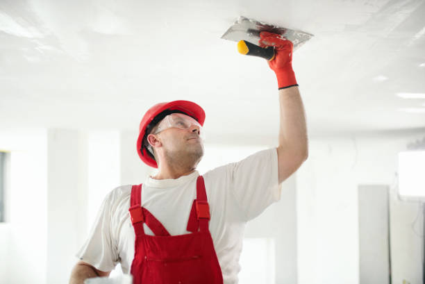  , DE Drywall and Painting Service Pros